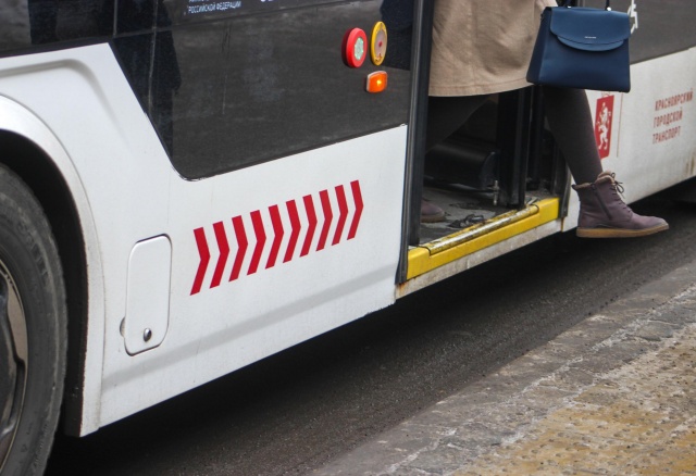 Красноярский перевозчик заплатит 30 тысяч за ребенка, которого прижало дверьми троллейбуса