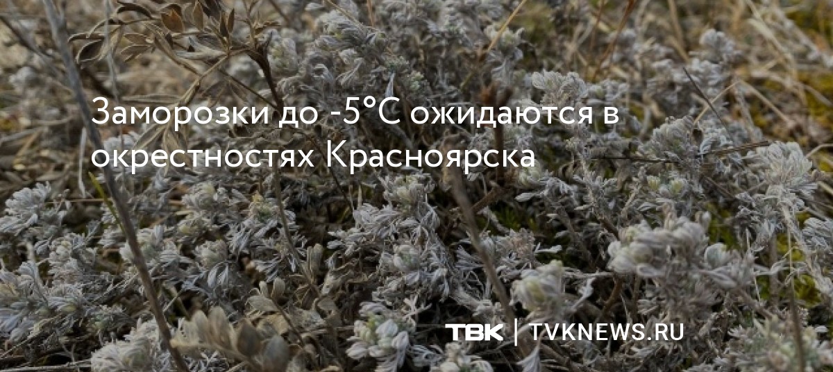 Заморозки до -5°С ожидаются в окрестностях Красноярска