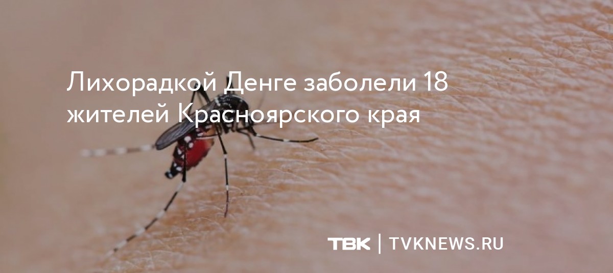 Лихорадкой Денге заболели 18 жителей Красноярского края