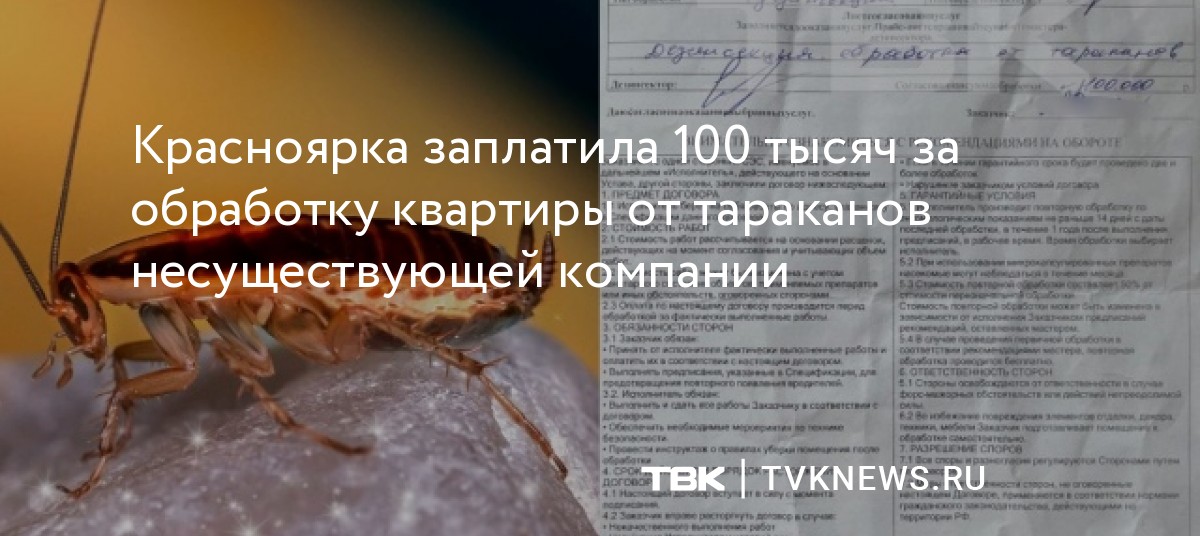 Красноярка заплатила 100 тысяч за обработку квартиры от тараканов ...