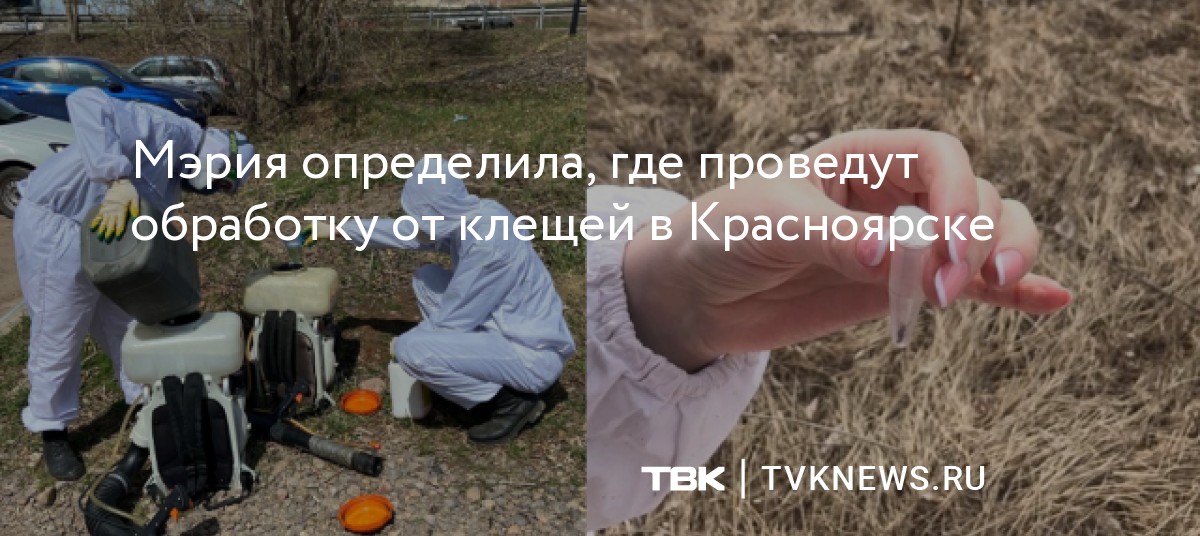 Мэрия определила, где проведут обработку от клещей в Красноярске