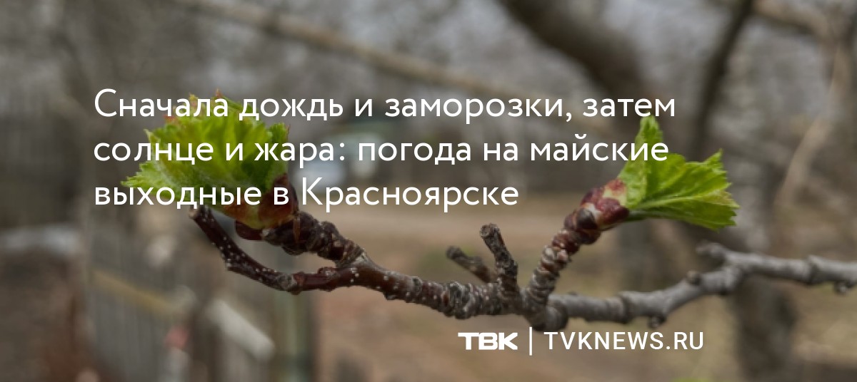 Сначала дождь и заморозки, затем солнце и жара: погода на майские ...
