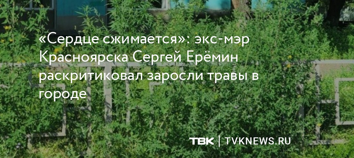«Сердце сжимается»: экс-мэр Красноярска Сергей Ерёмин раскритиковал ...