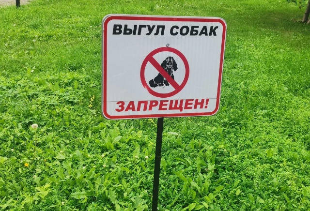 Парки, детские площадки и кладбища: список запрещенных для выгула собак мест в Красноярске