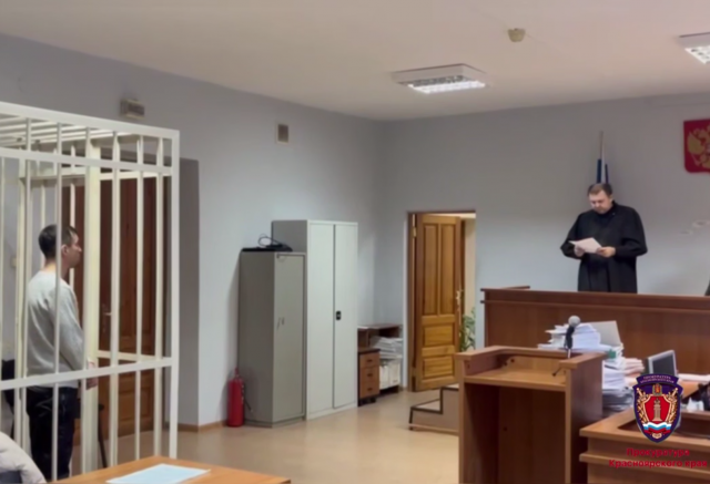 «Вину признаю частично»: избившего пенсионерку из-за парковки красноярца отправили в СИЗО