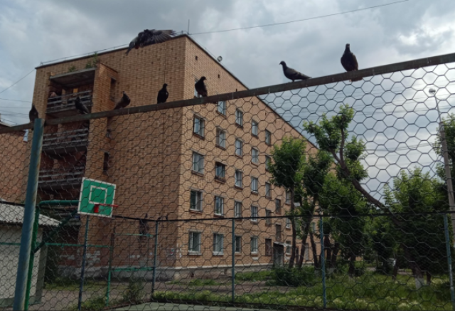 Мумифицированные тела матери и 6-летнего сына нашли в квартире на правобережье Красноярска