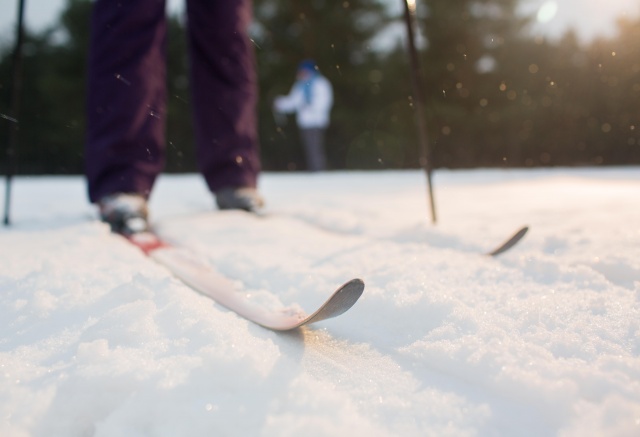 В школе села Троицк прокомментировали действия физрука, который отправил детей в лес без присмотра