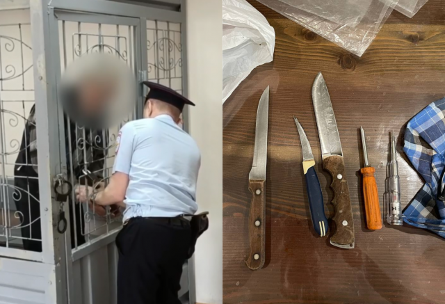 Убившего внучку и правнучку красноярского пенсионера признали невменяемым