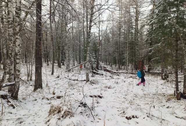 «За неделю не нашли ни следов, ни вещей»: волонтеры рассказали о ходе поиска пропавшей в горах семьи Усольцевых