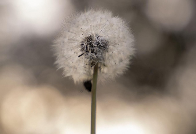 Пасмурно и дождливо: прогноз погоды на первую неделю осени в Красноярске