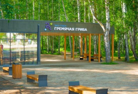 Красноярцев просят не гулять в «Гремячей гриве» из-за обработки от клещей
