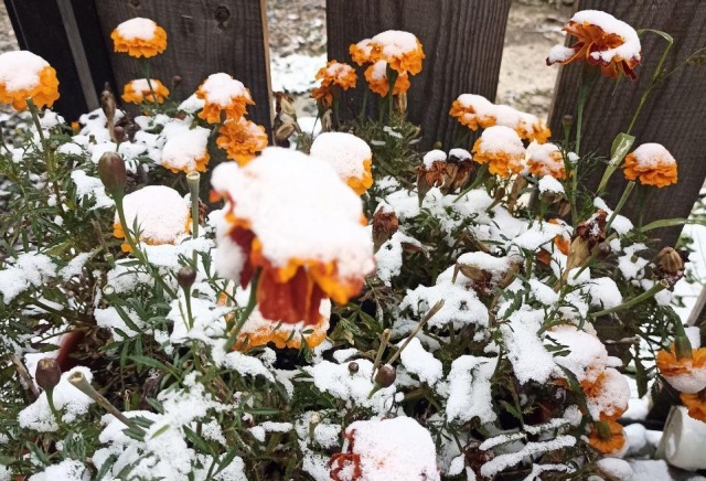 Первый снег выпал в Красноярске в конце сентября: публикуем кадры