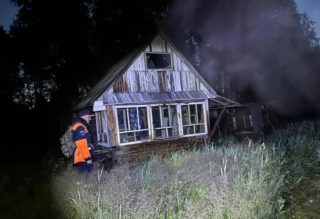 78-летнего пенсионера четвертый день ищут в Емельяновском районе: мужчина ушел за ягодой в лес