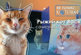 NxzGhQfdKZw