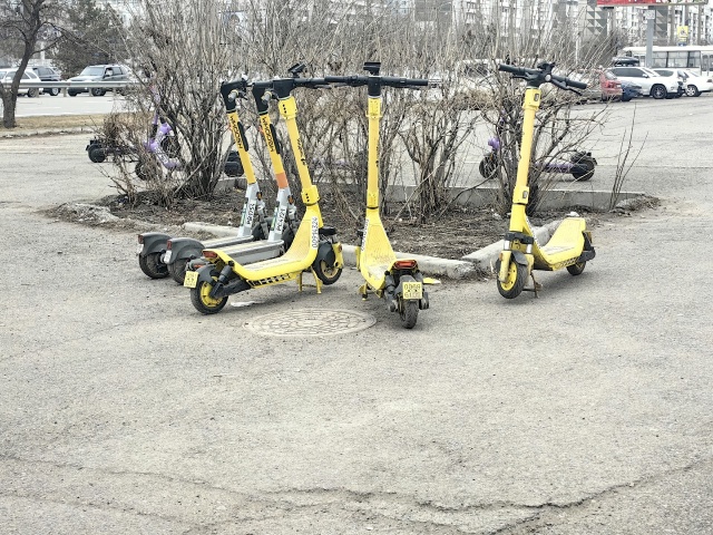 Чат-бот для жалоб на электросамокатчиков в Красноярске запустили в MAX