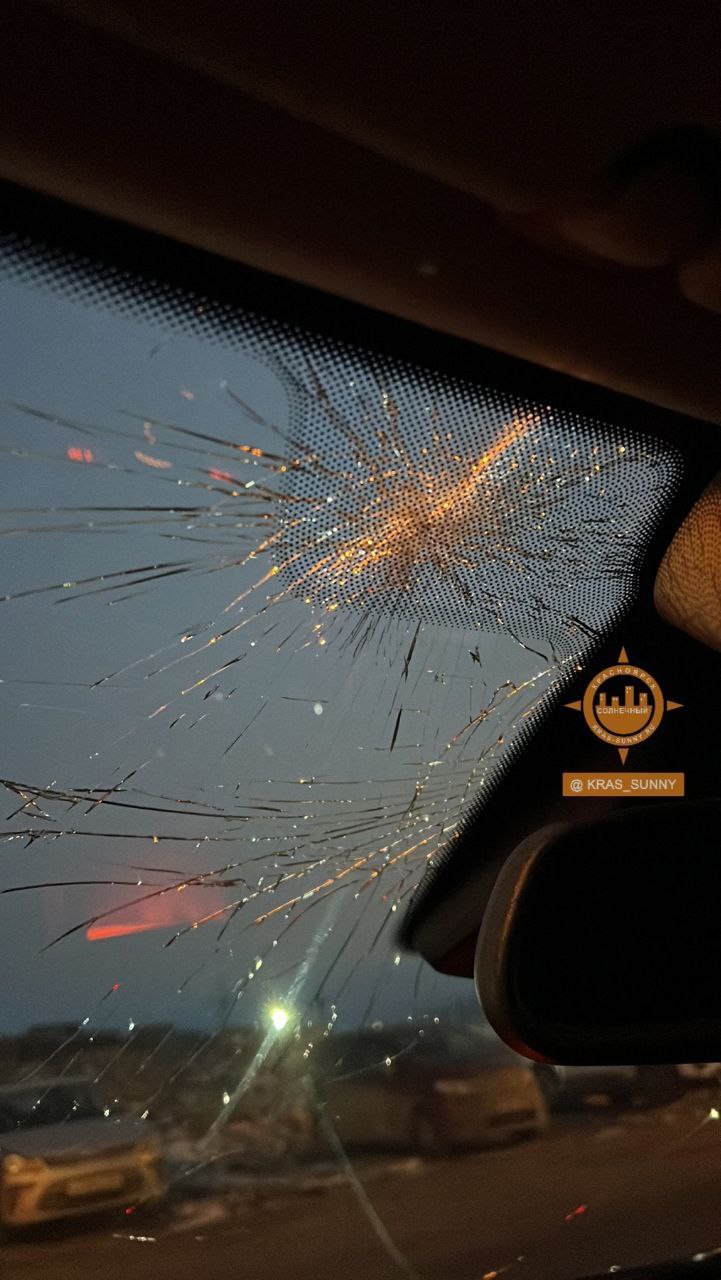В Красноярске неизвестный выкинул кошку из окна на машину