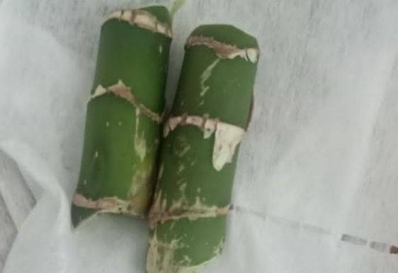 В Канском районе четверо детей отравились стеблями комнатного растения, спутав его с бамбуком