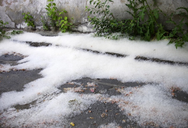 Сирота из Красноярска может остаться без квартиры из-за детского баловства