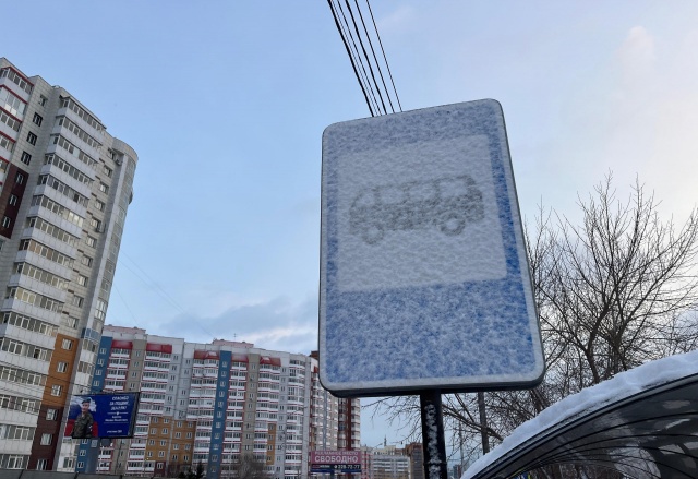 Уголовное дело за высадку детей из автобуса в мороз завели в Красноярске