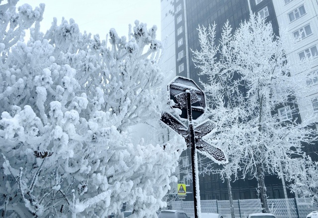 До -40°C и без снега: прогноз погоды на выходные в Красноярске
