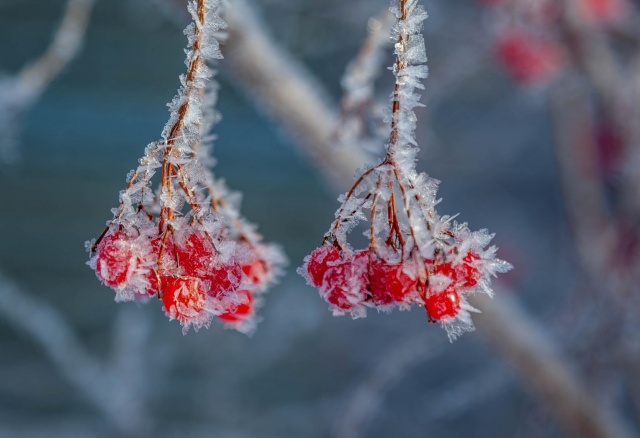 Красноярцев ждут 30-градусные морозы на выходных