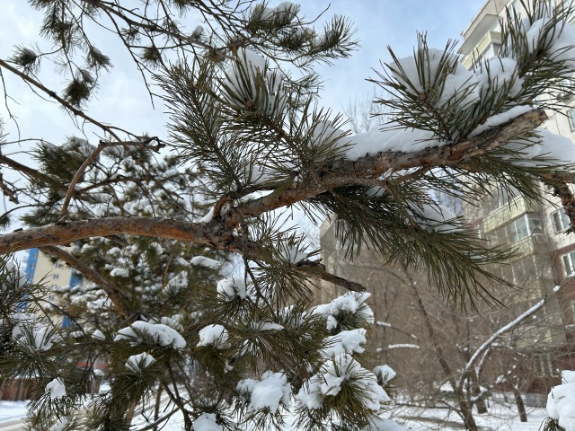 Ветер, снег и похолодание: прогноз погоды на выходные в Красноярске