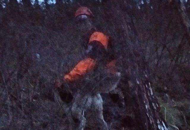 «Сумели на веревке вытащить вверх»: в Дивногорске спасли собаку, которая 5 дней сидела на скалах