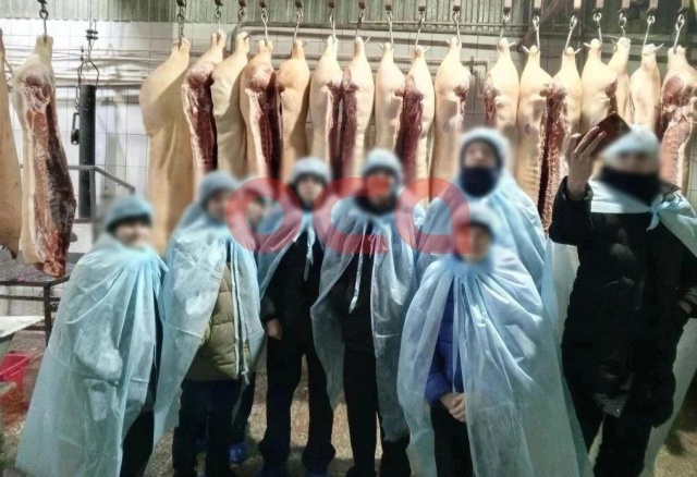 Школьников отправили на экскурсию на скотобойню в Ачинском округе