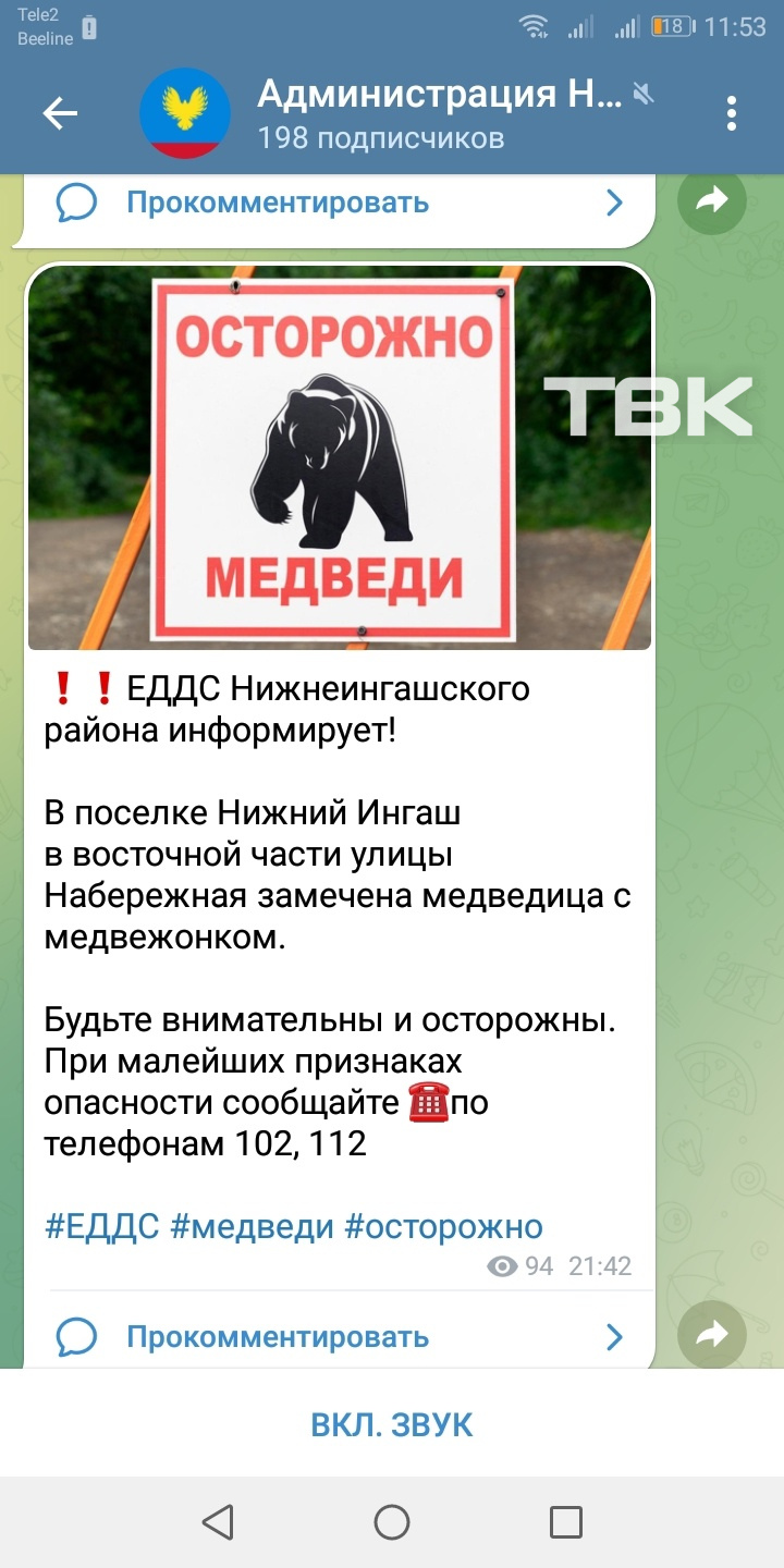 По улицам ходят медведи, а подвоз не положен: как жители Нижнего Ингаша  бьются за школьный автобус