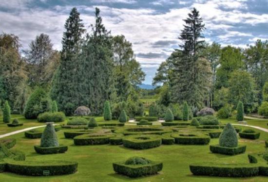 Дендрарий за полмиллиарда рублей планируют построить в Красноярске: рассказываем, где