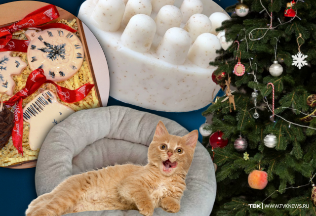 Лежанки для кошек, керамические игрушки и мыло ручной работы: подборка благотворительных подарков на Новый год