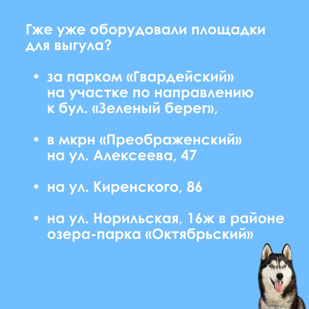 Запахло весной»: можно ли привлечь к ответственности собачников, которые не  убирают за своими питомцами