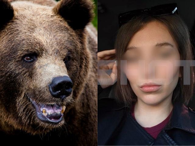 Медведь утащил туристку из палатки в лес на Алтае