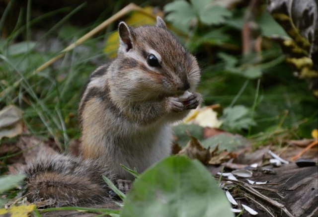 Выходные в Красноярске будут пасмурными и прохладными