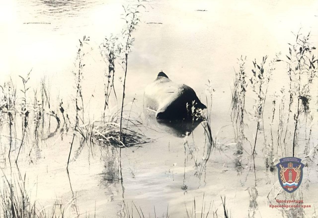  «Говорил детям, что мама повесилась»: в Ачинске раскрыли убийство 26-летней давности