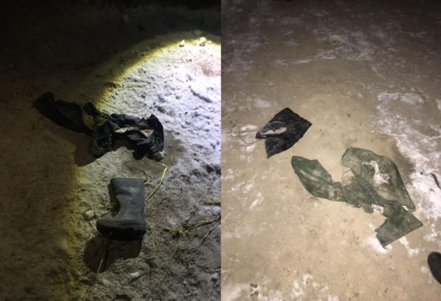 Пожилого красноярца нашли мертвым возле дач: на его теле были укусы собак