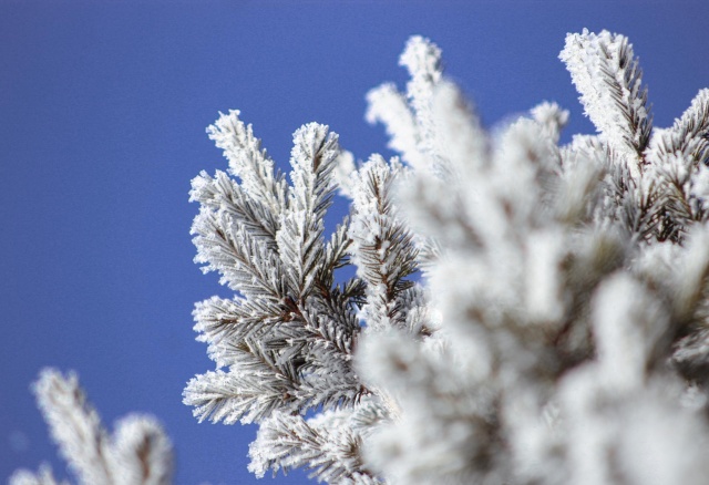 Морозы до -45°C прогнозируют в Красноярском крае