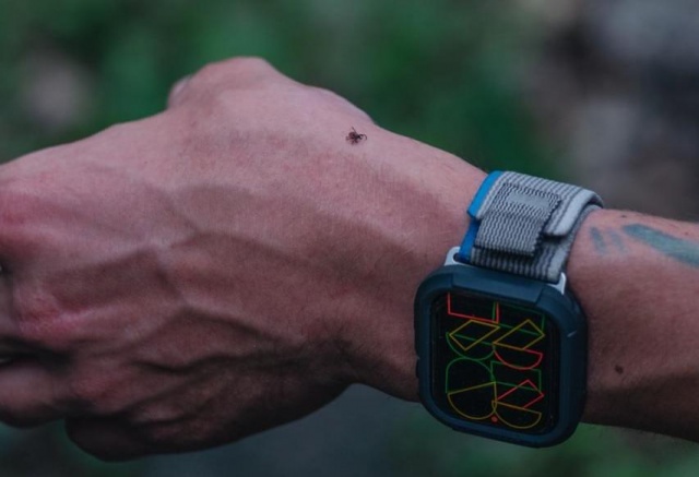 Зараженный боррелиозом клещ укусил красноярку на Столбах 