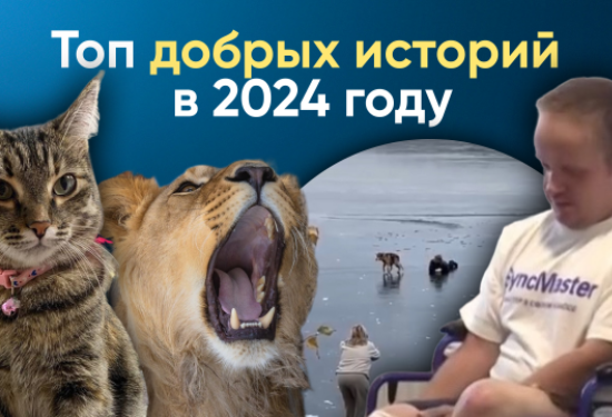 Помощь Арине, возвращение Ириски и 3,5-часовая реанимация пациента: самые добрые истории 2024 года