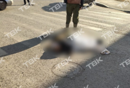В Красноярске мусоровоз на «зебре» сбил женщину и ребенка В Красноярске мусоровоз на «зебре» сбил женщину и ребенка