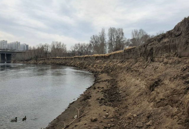 На острове Татышев проведут археологические работы почти за 4,5 млн рублей