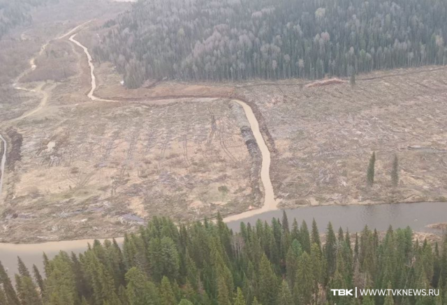 Золотодобытчики нанесли ущерб более 150 млн рублей в Красноярском крае