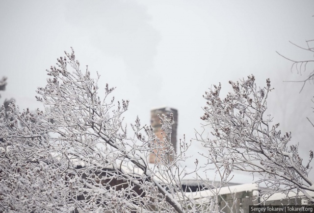 Интерактивную карту со всеми проектами КРТ в Красноярске опубликовали в мэрии