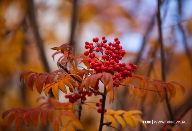 Теплые и солнечные выходные прогнозируют в Красноярске
