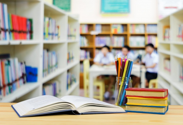 Родители красноярских школьников пожаловались на неработающие электронные дневники