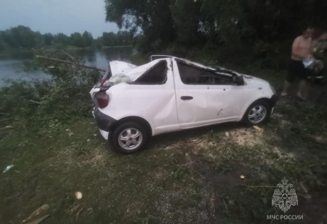 В Красноярском крае упавшее из-за бури дерево смяло крышу машины: пострадал ребенок