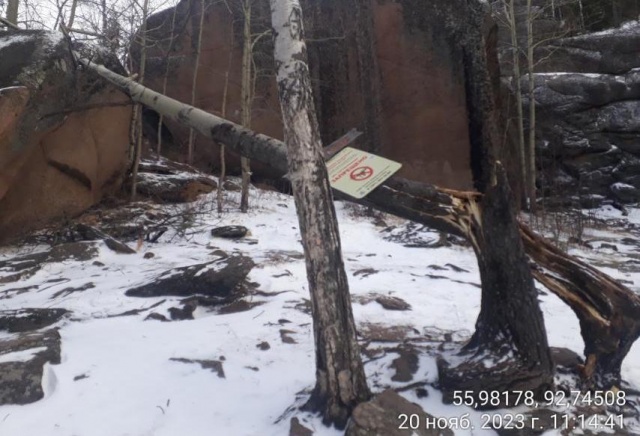Красноярские «Столбы» закрыли для посещений из-за риска падения деревьев