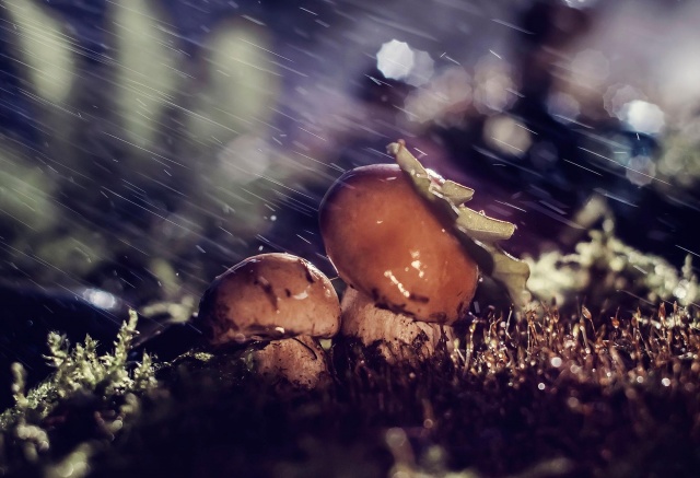 Сыро и до +23°С: прогноз погоды на рабочую неделю в Красноярске