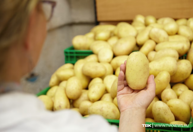 С 44 рублей до 150: рекордное подорожание картофеля зафиксировали в России