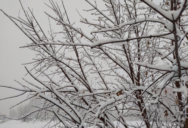 Красноярцев ждет потепление до -5°C на выходных Красноярцев ждет потепление до -5°C на выходных